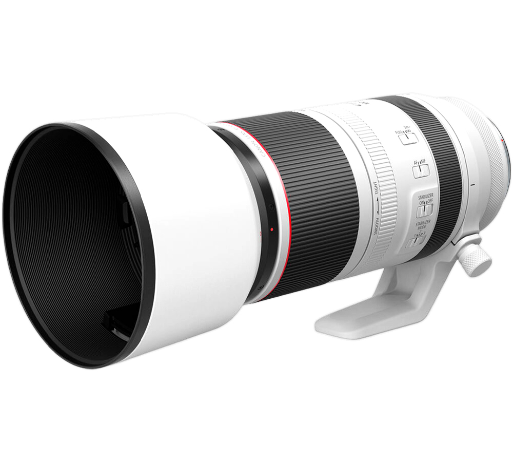 XXXXXXXXXXXXXXXXXXXX